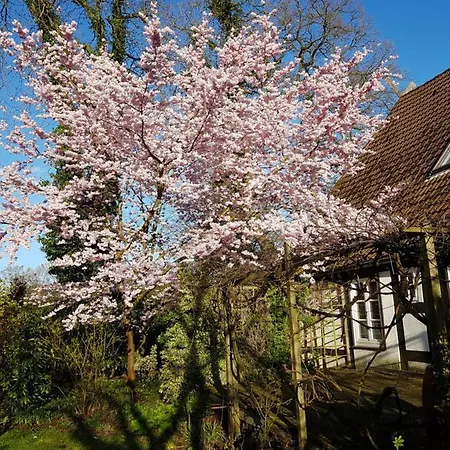 Lieblingsplatz * Bremen